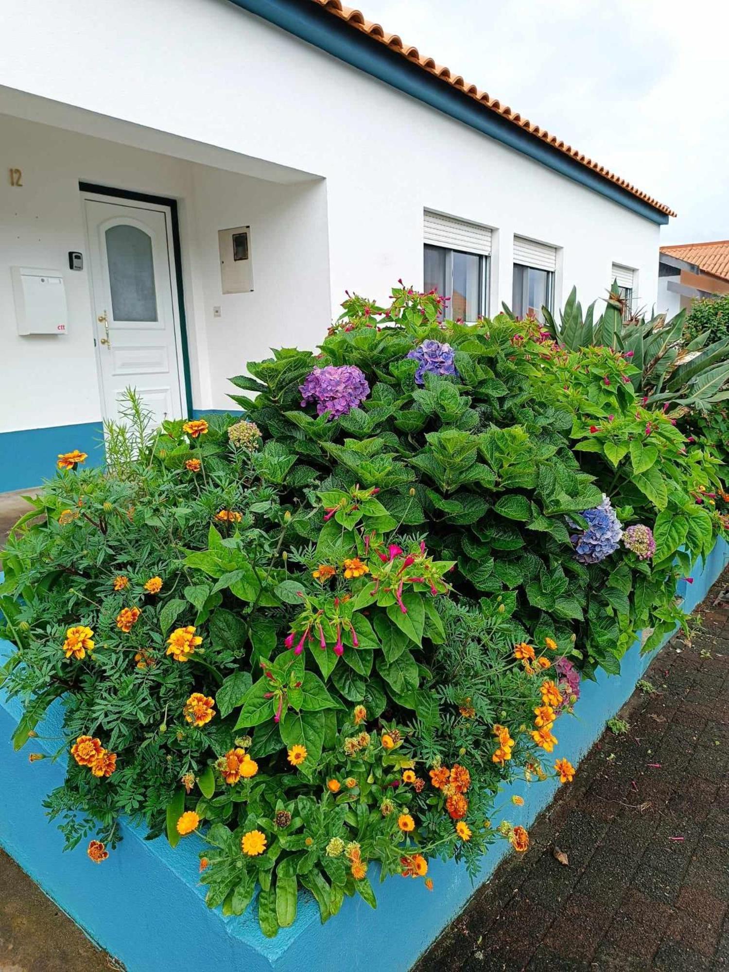 Apartamento Da Matilde Santa Cruz das Flores Extérieur photo